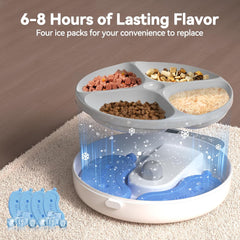 Automatic Cat Feeder Wet Food Lasting Flavor