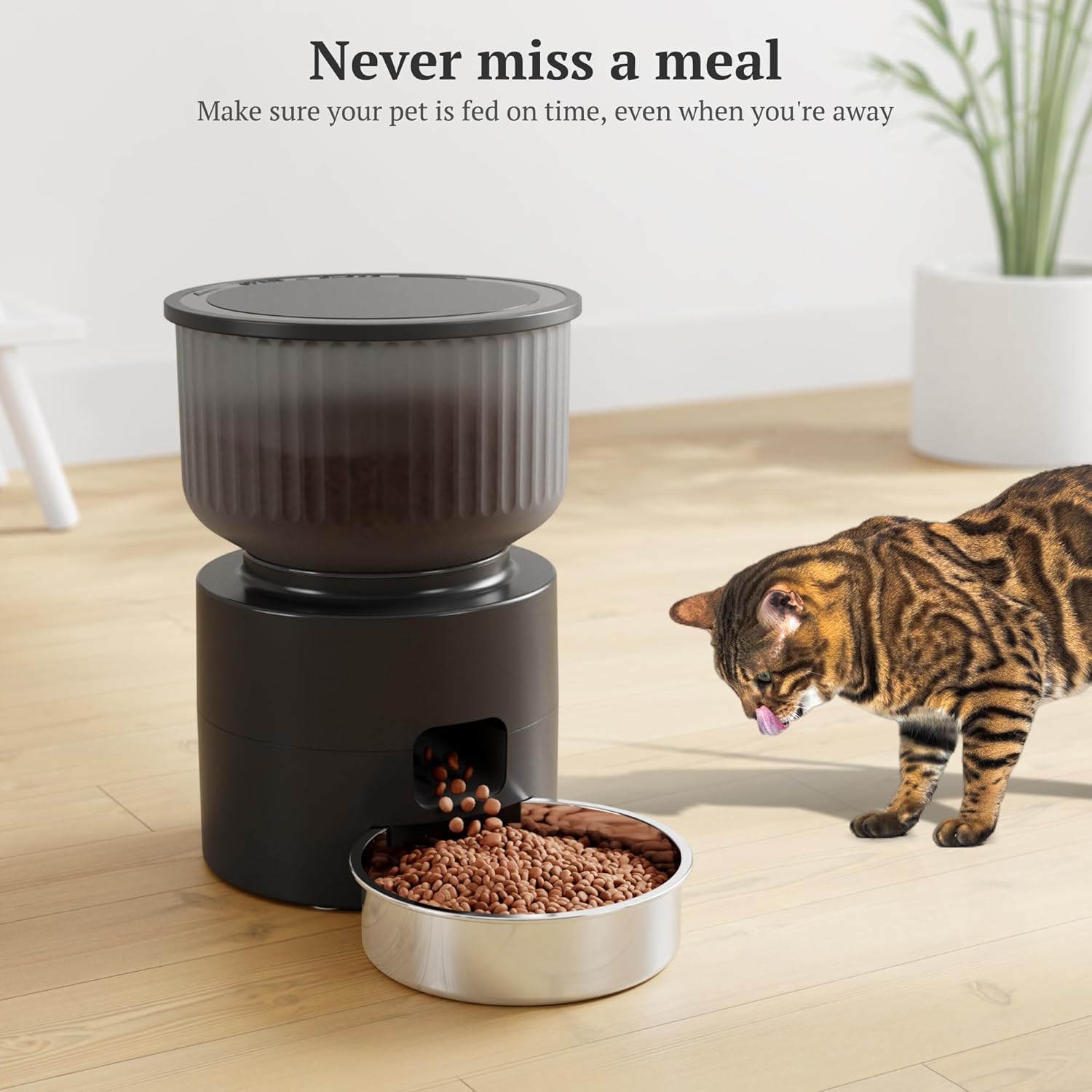 3L-Auto-Pet-Feeder-Never-Miss-A-Meal