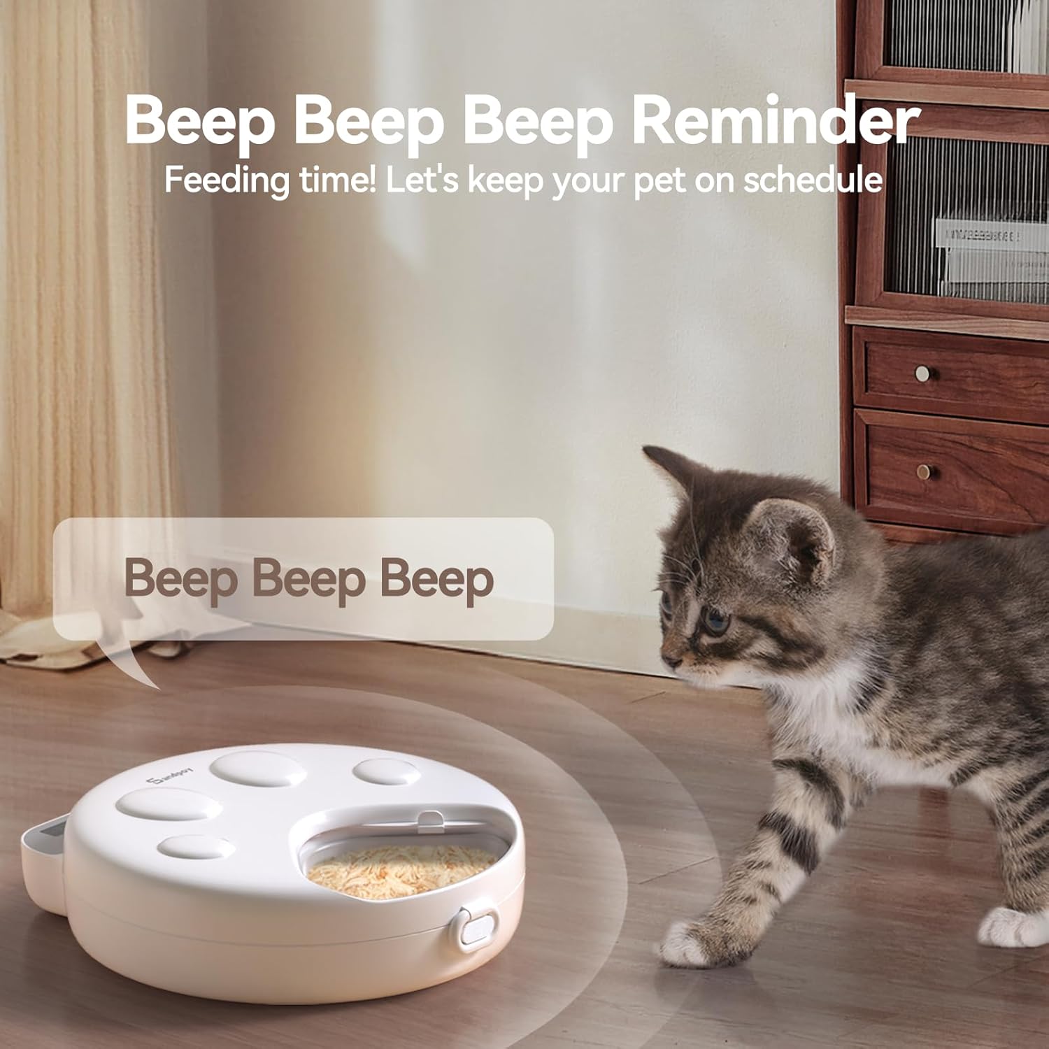 Beautiful view of Automated Feeding Reminders For Snakes