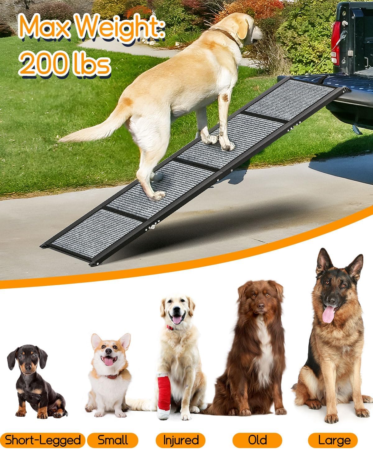 Extra Wide Folding Dog Ramp for Cars, SUVs & Trucks – 63