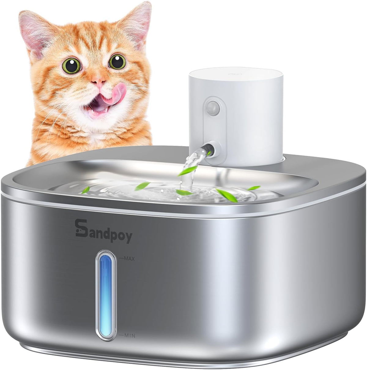 304 Stainless Steel Cat Water Fountain 3.2L Multi-Filtration Pet Water Fountain for Small Animals Sandpoy